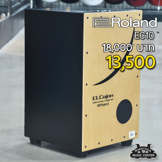 ROLAND EC10